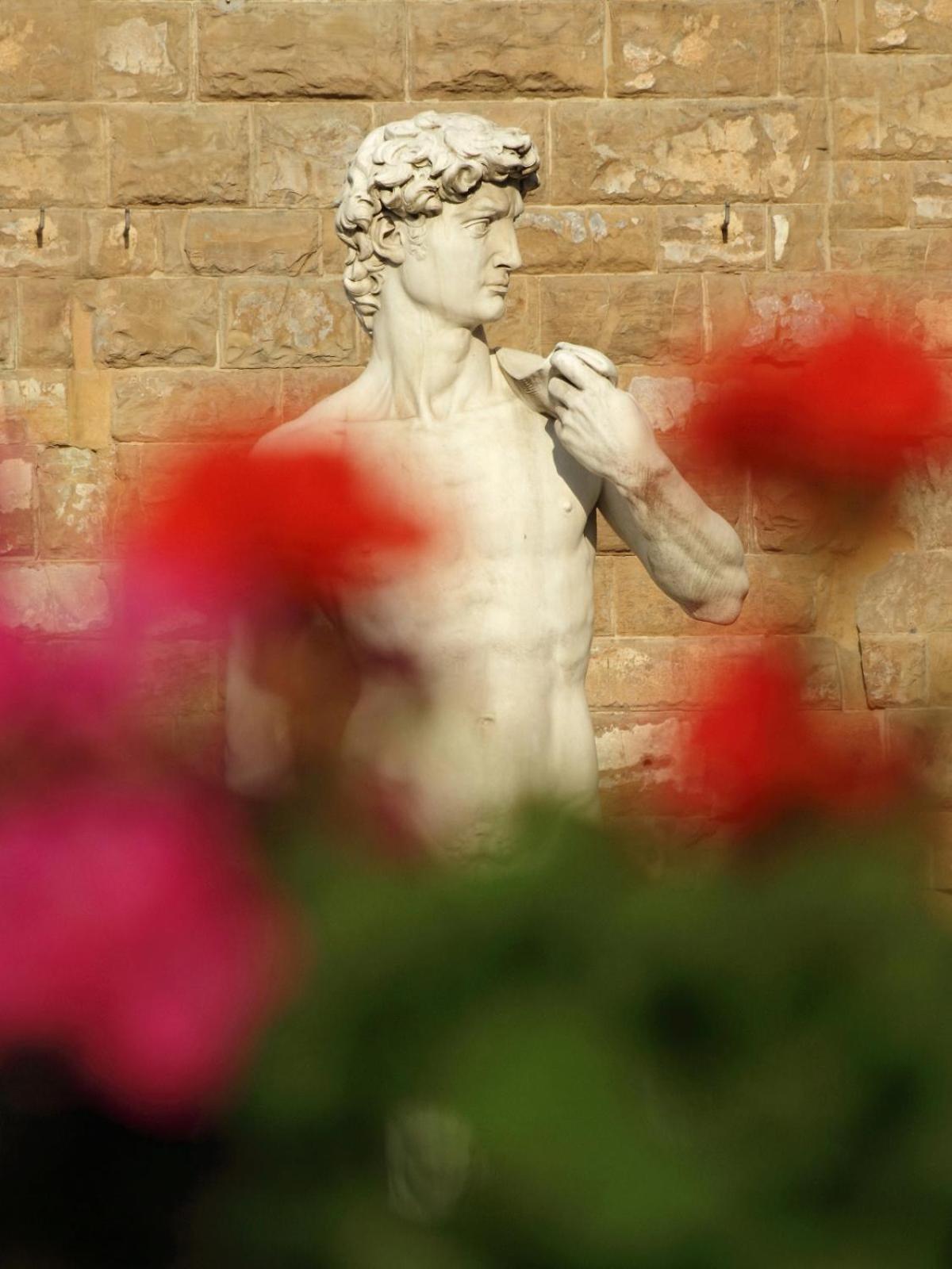 Dalu Florence Apartment Davide - Private Car Park 15 Minutes To The City Center Luaran gambar